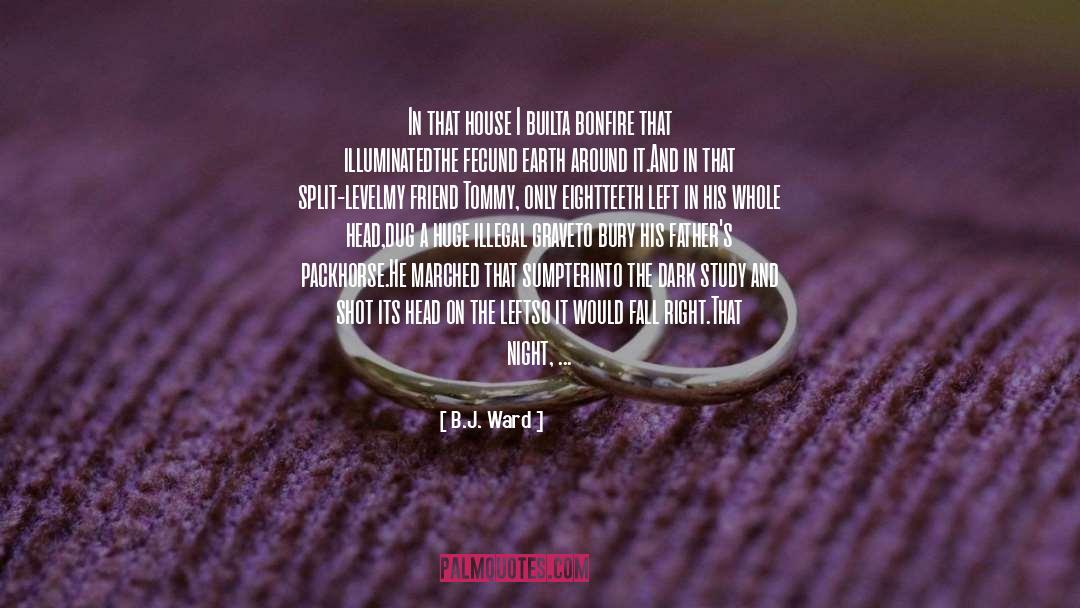 Bonfire quotes by B.J. Ward