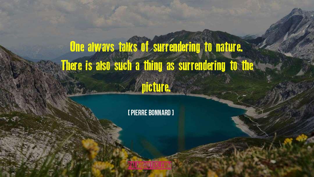 Bonnard quotes by Pierre Bonnard