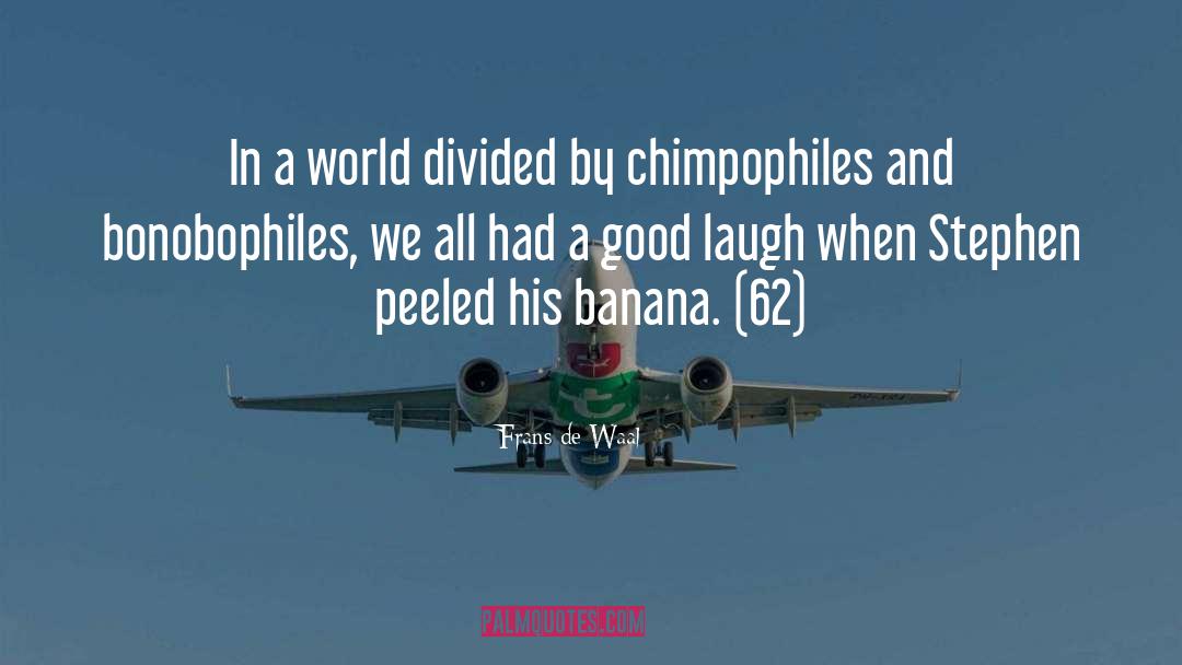 Bonobos quotes by Frans De Waal