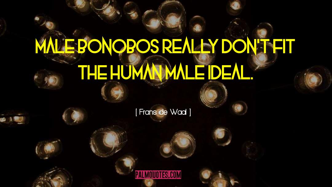 Bonobos quotes by Frans De Waal
