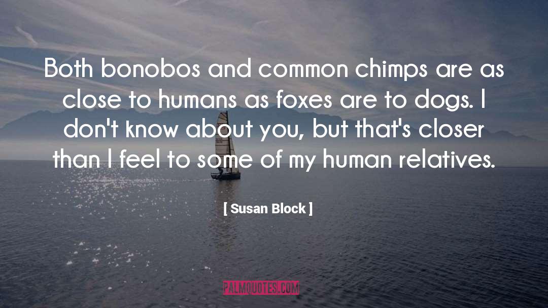 Bonobos quotes by Susan Block