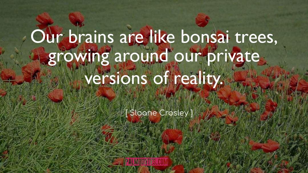 Bonsai quotes by Sloane Crosley
