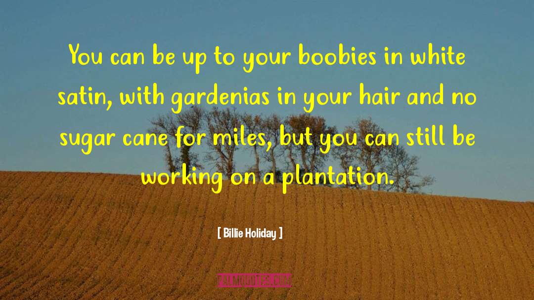 Boobies quotes by Billie Holiday