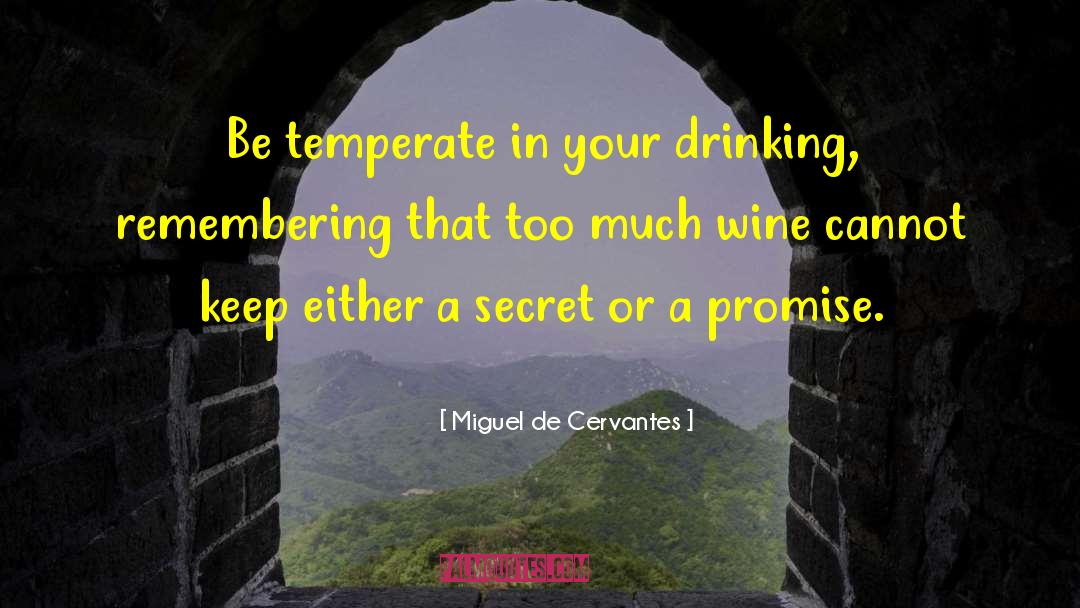Bood Promise quotes by Miguel De Cervantes