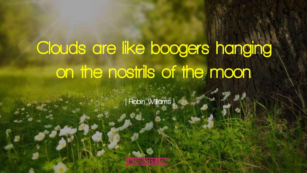 Boogers quotes by Robin Williams