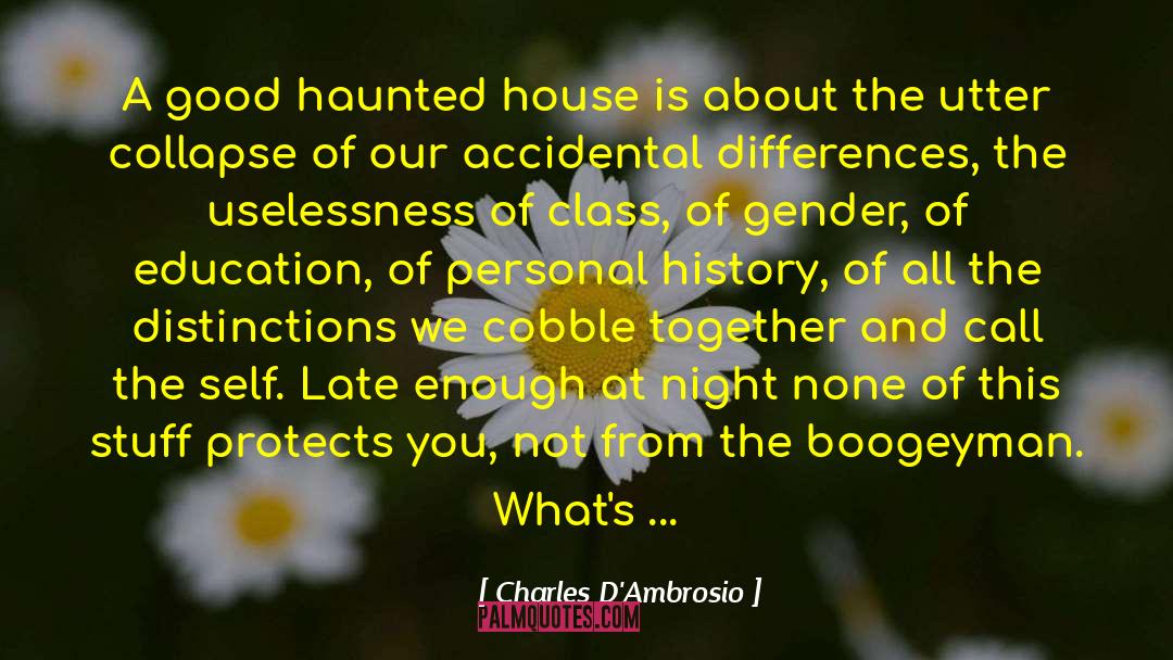 Boogeyman quotes by Charles D'Ambrosio