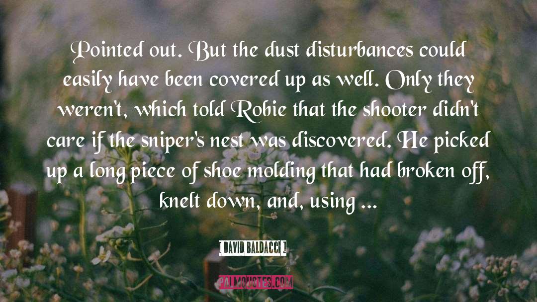 Book Dust quotes by David Baldacci