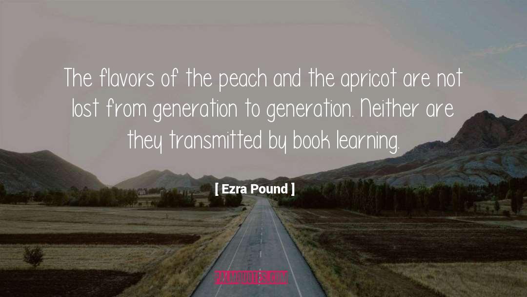 Book Learning quotes by Ezra Pound