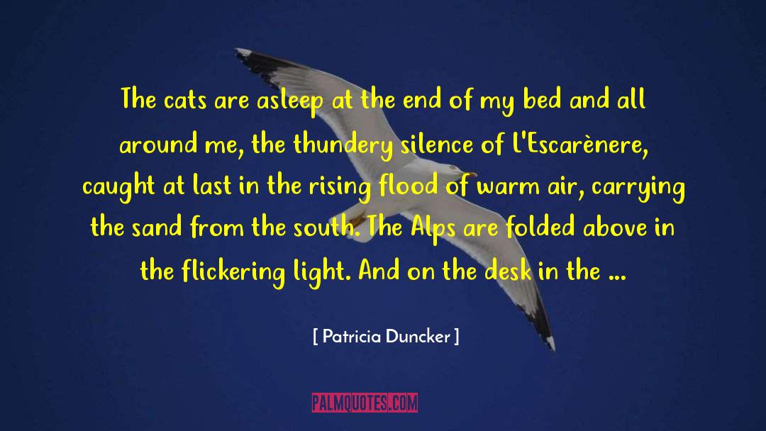 Book Lovers quotes by Patricia Duncker