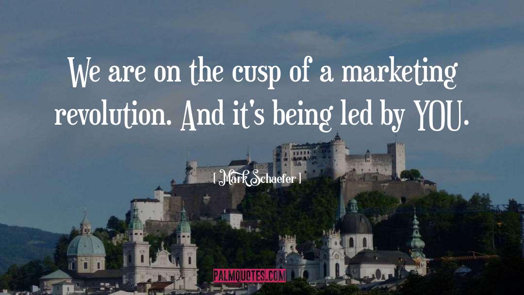 Book Marketing quotes by Mark Schaefer