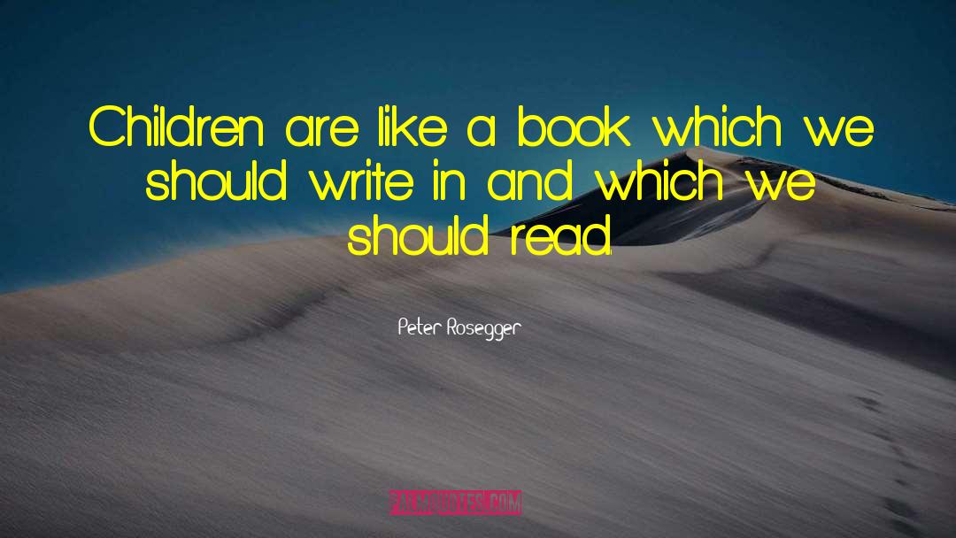 Book Marketing quotes by Peter Rosegger