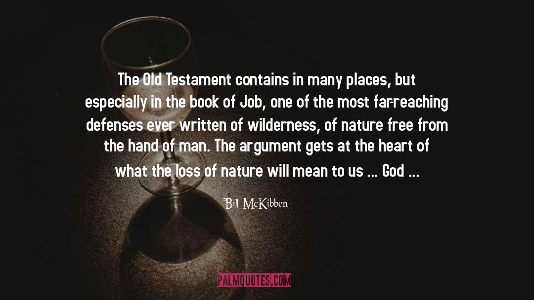Book Of Job quotes by Bill McKibben