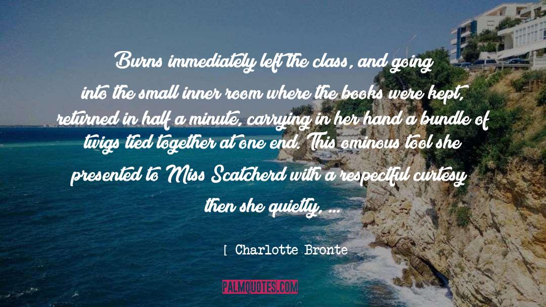 Book Preservation quotes by Charlotte Bronte