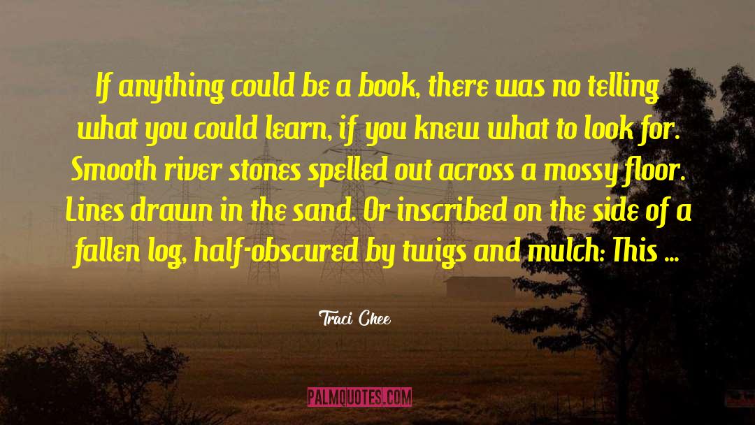 Book Seller quotes by Traci Chee
