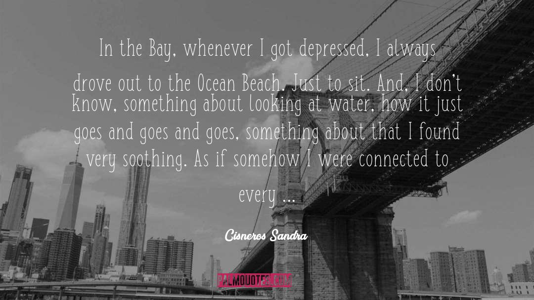 Book Something In The Water quotes by Cisneros Sandra