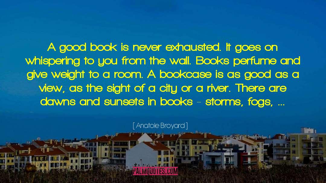 Bookcase quotes by Anatole Broyard