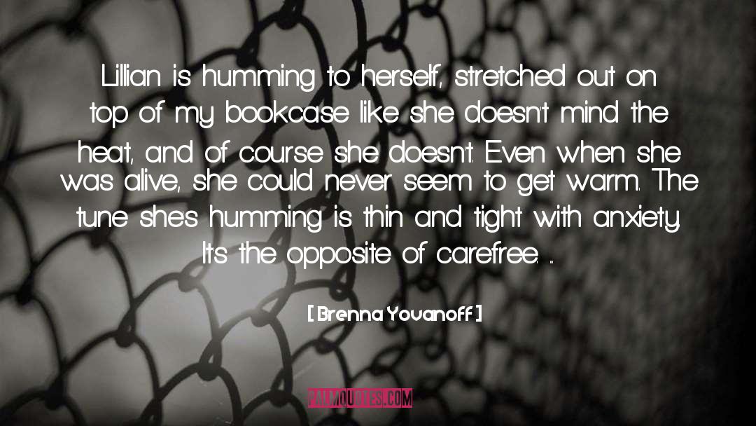 Bookcase quotes by Brenna Yovanoff