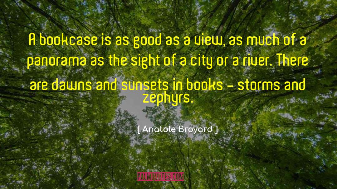 Bookcase quotes by Anatole Broyard