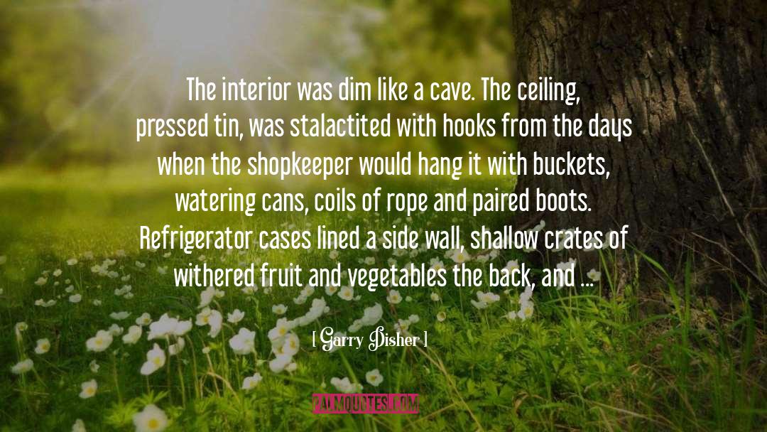 Bookcase quotes by Garry Disher