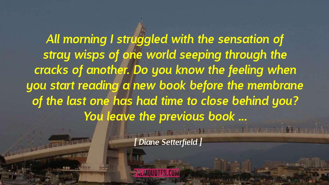 Books And Reality quotes by Diane Setterfield