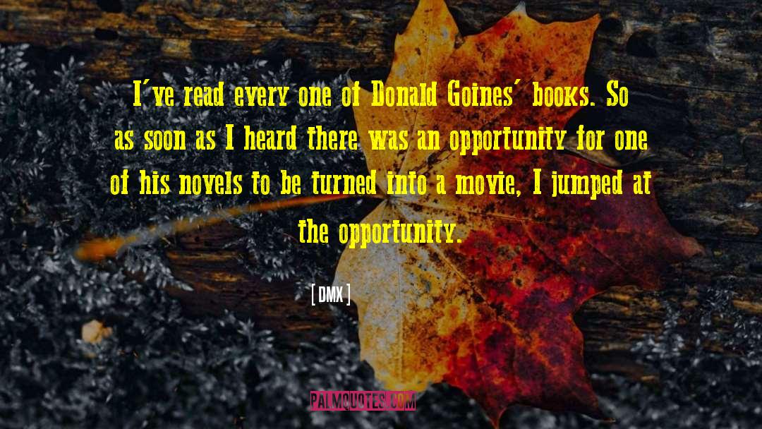 Books As Companions quotes by DMX