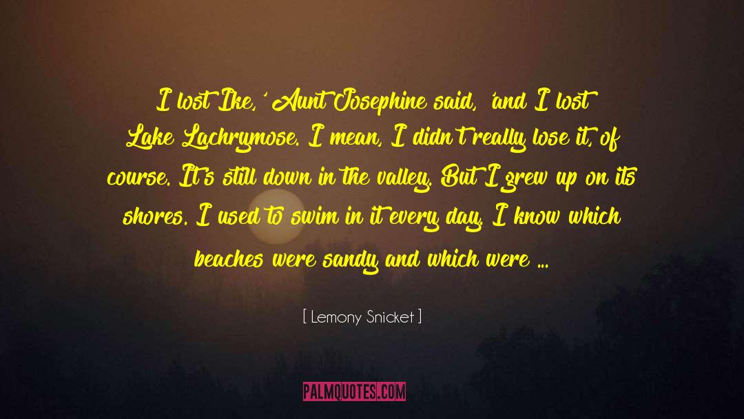 Books Influence quotes by Lemony Snicket