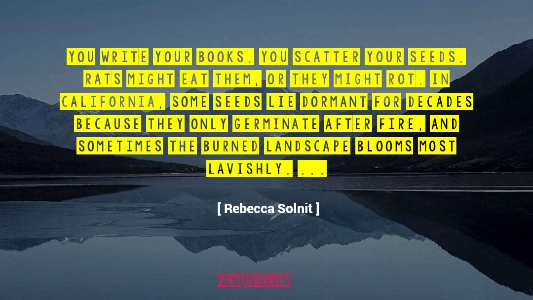 Books Writing quotes by Rebecca Solnit