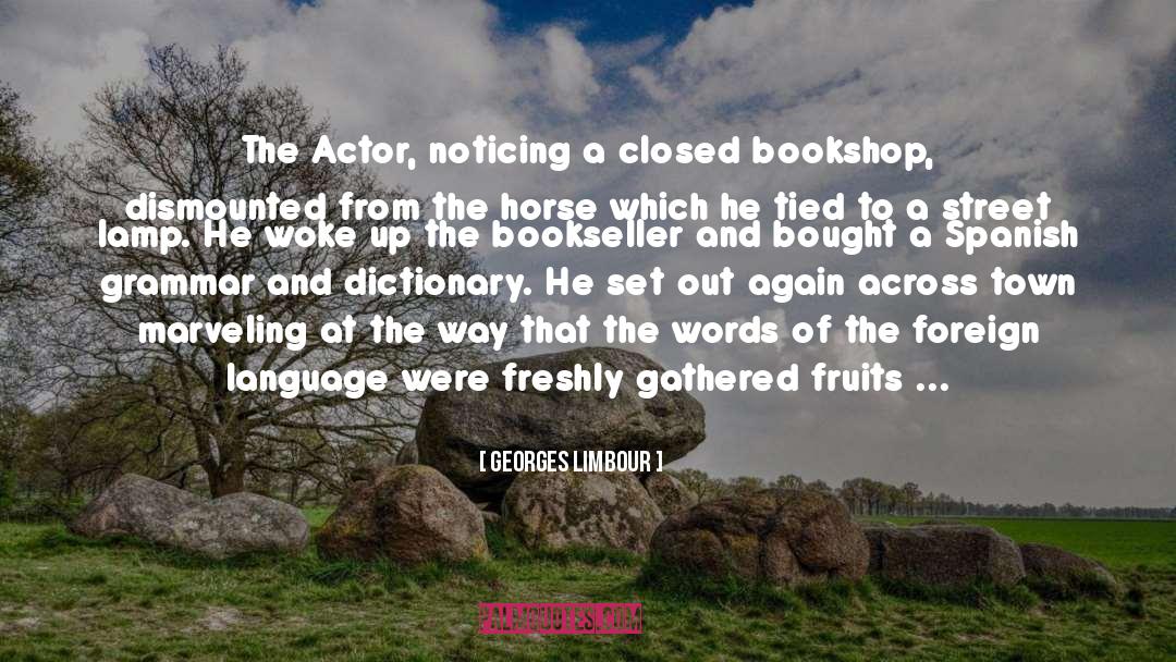 Bookseller quotes by Georges Limbour