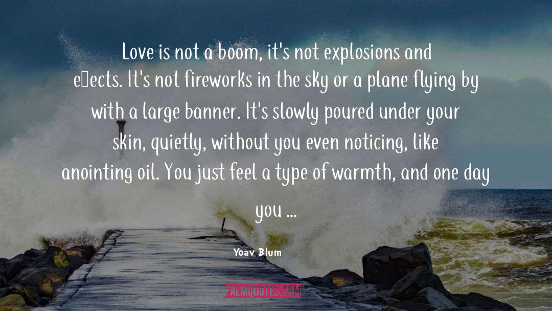 Boom And Bust quotes by Yoav Blum
