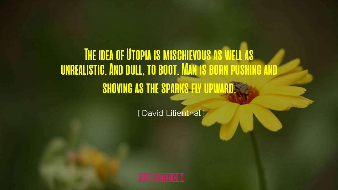 Boot Polisher quotes by David Lilienthal