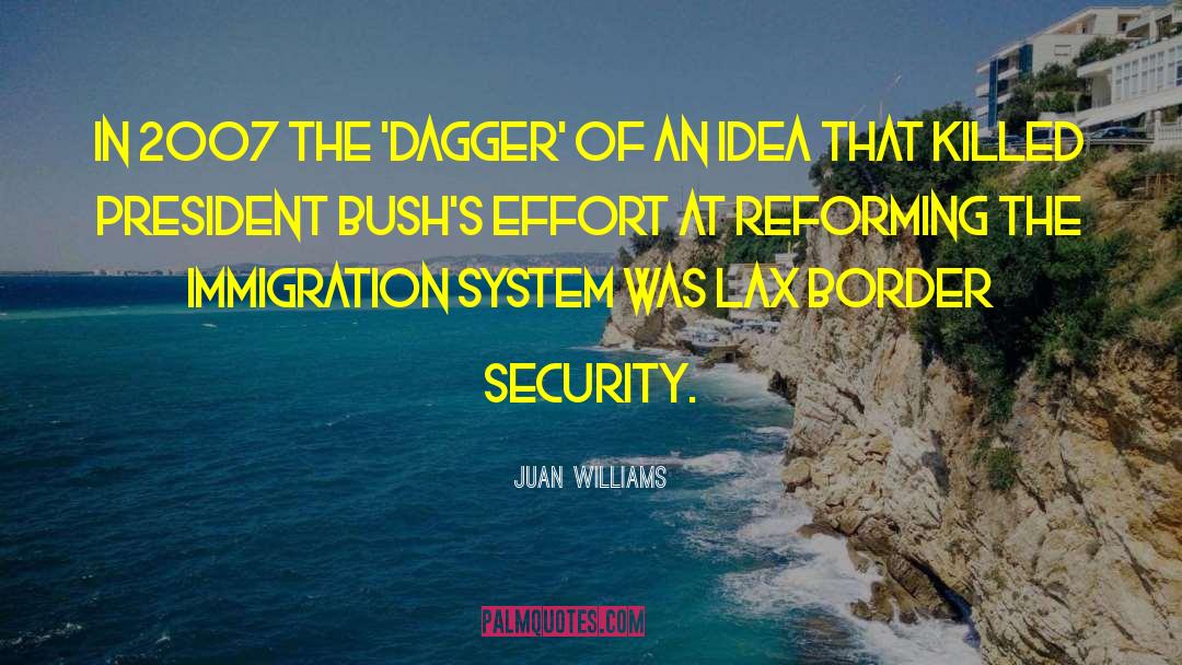 Border Security quotes by Juan Williams