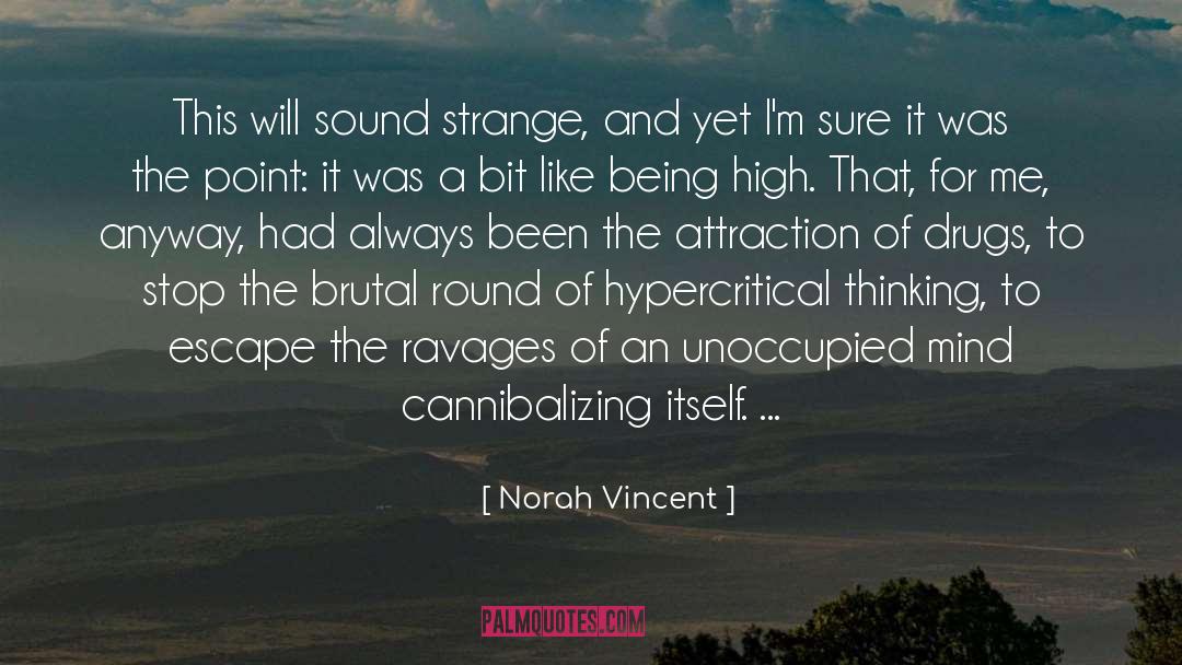 Borderline Personality Disordre quotes by Norah Vincent