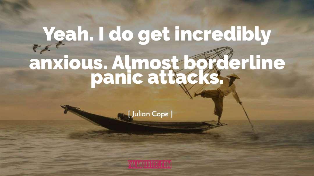 Borderline quotes by Julian Cope