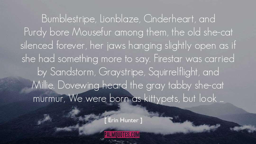 Bore quotes by Erin Hunter