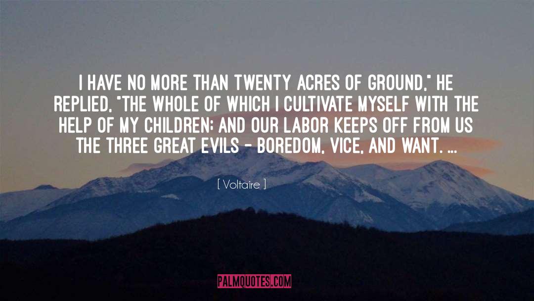 Boredom Of Soul quotes by Voltaire