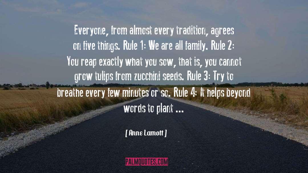 Borers Zucchini quotes by Anne Lamott