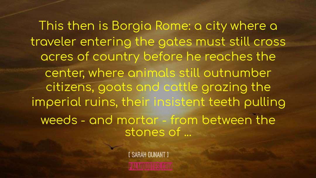 Borgia quotes by Sarah Dunant