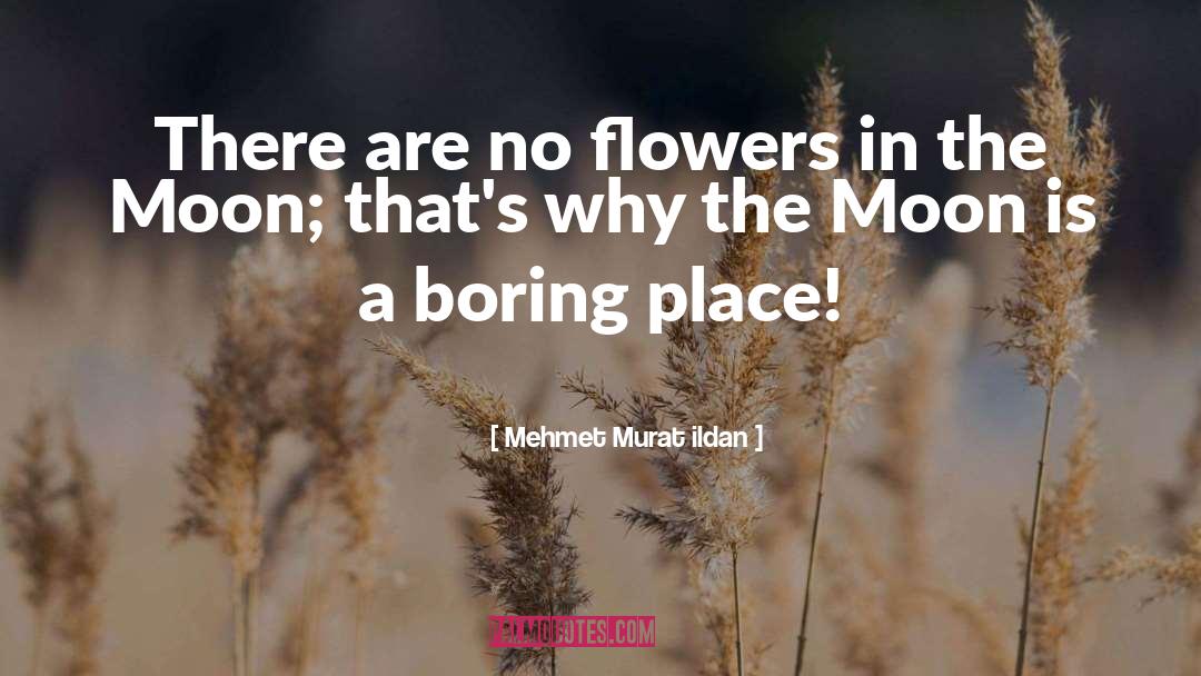 Boring quotes by Mehmet Murat Ildan