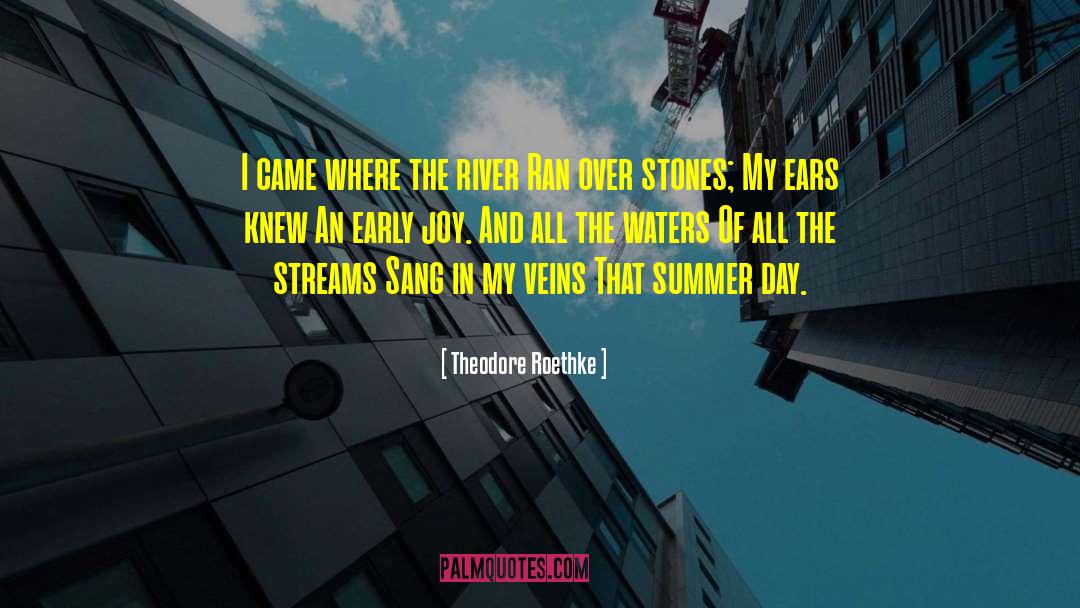 Boring Summer Day quotes by Theodore Roethke