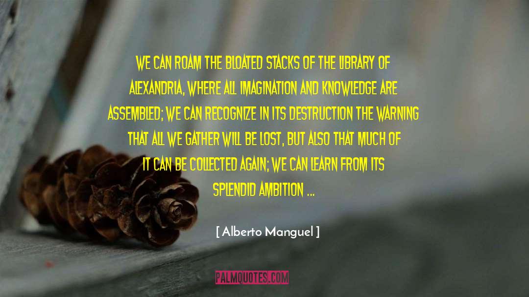 Born Again Experience quotes by Alberto Manguel