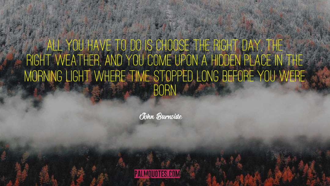 Born Beautiful quotes by John Burnside