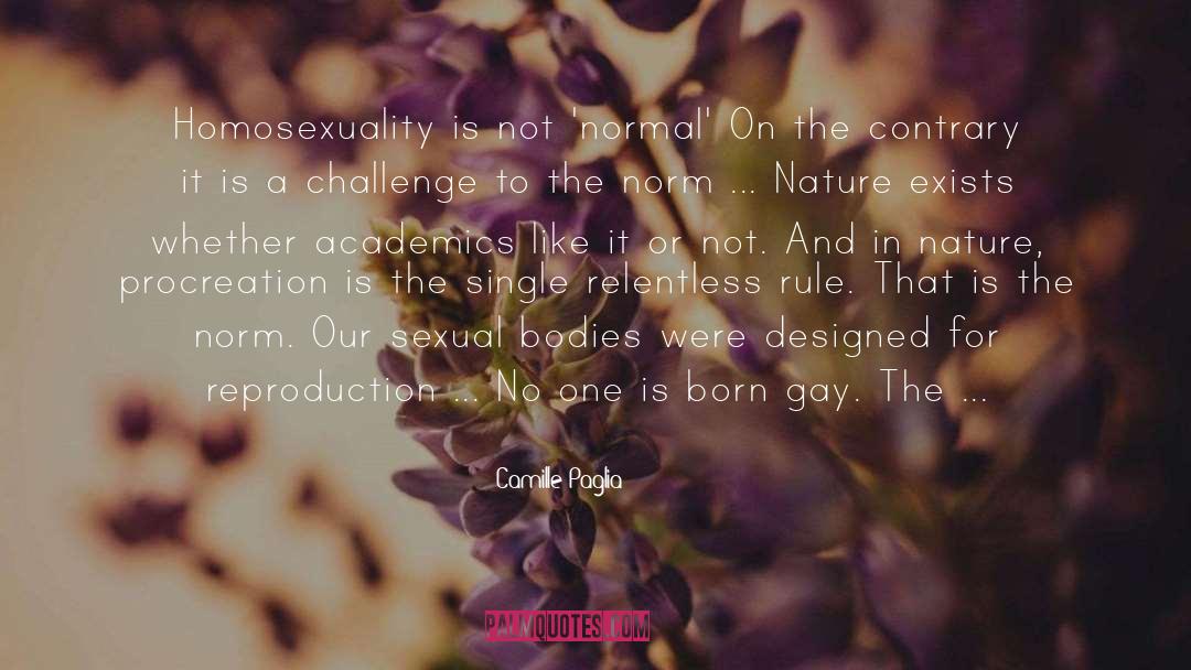 Born Gay quotes by Camille Paglia