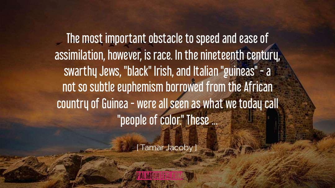 Born In Flames quotes by Tamar Jacoby