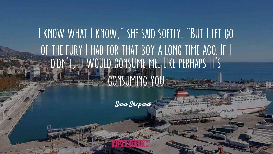 Born Of Fury quotes by Sara Shepard