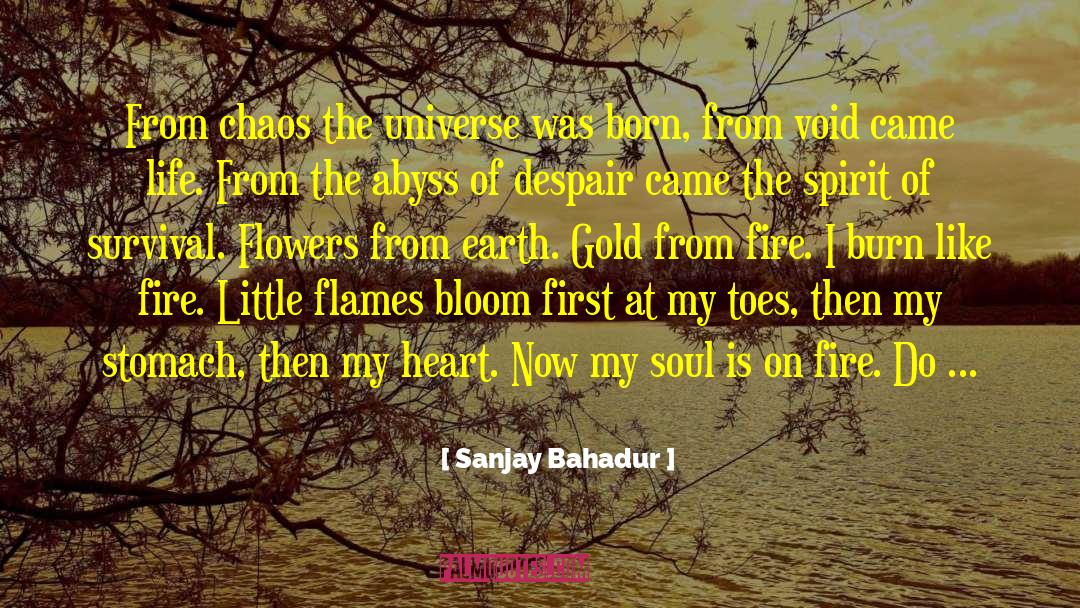 Born Of Shadows quotes by Sanjay Bahadur