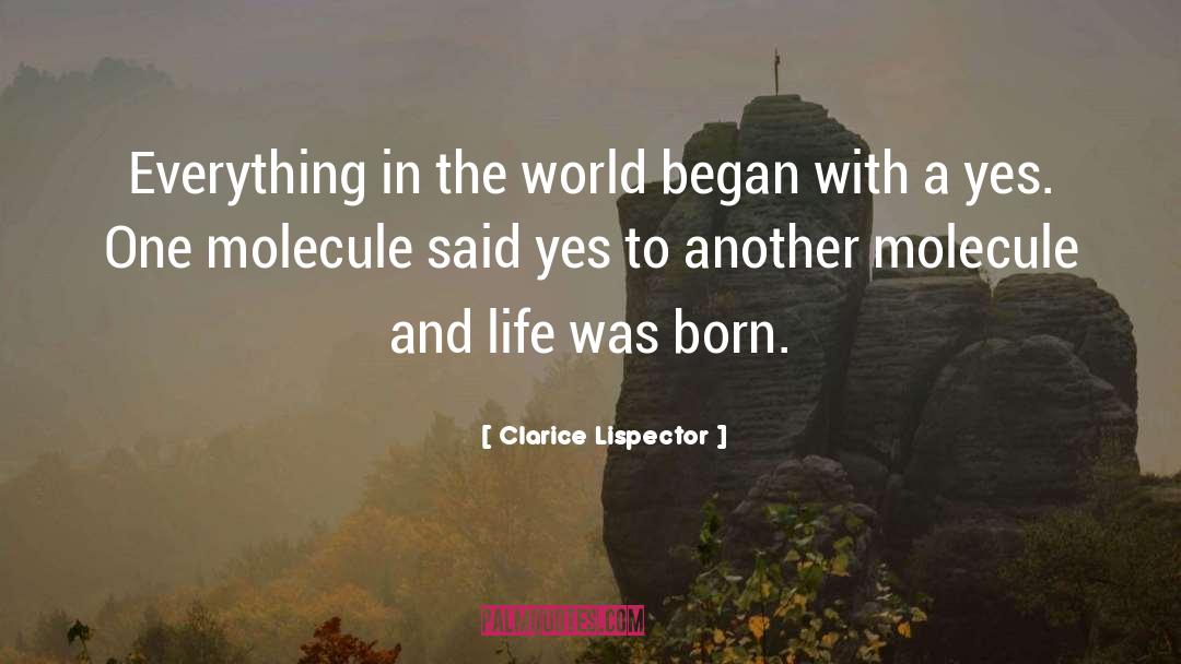 Born Sinner quotes by Clarice Lispector