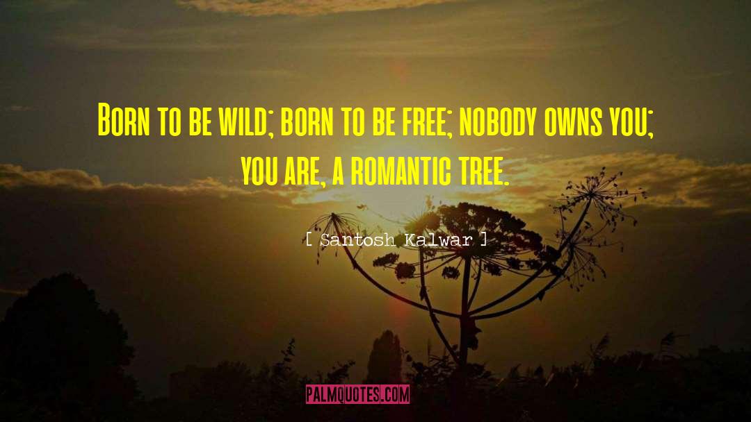 Born To Be Free quotes by Santosh Kalwar