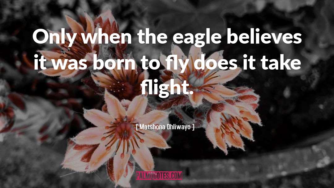 Born To Fly quotes by Matshona Dhliwayo