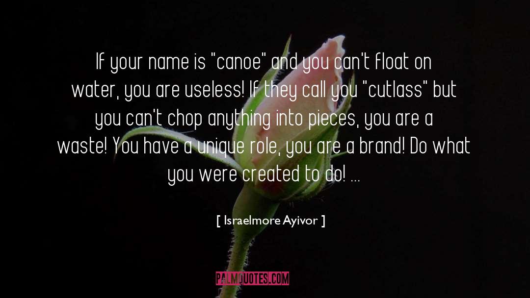 Born To Lead quotes by Israelmore Ayivor