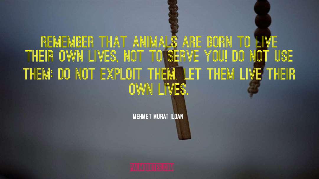 Born To Live quotes by Mehmet Murat Ildan